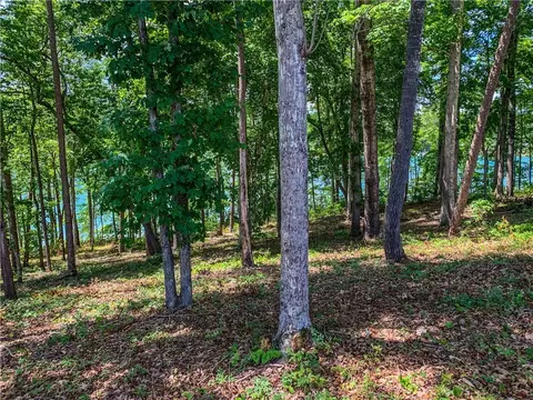 466 Peninsula Rdg, Sunset, SC 29685 photo 6