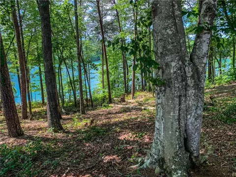 466 Peninsula Rdg, Sunset, SC 29685 photo 7