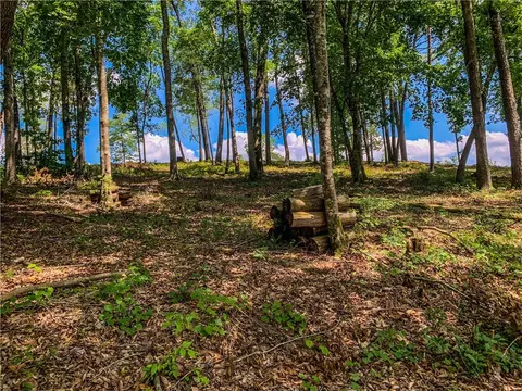 466 Peninsula Rdg, Sunset, SC 29685 photo 8