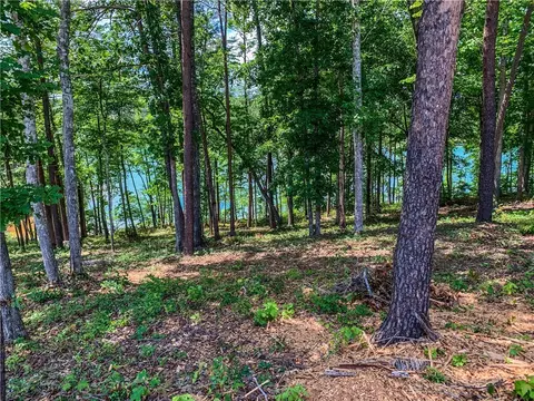 466 Peninsula Rdg, Sunset, SC 29685 photo 3