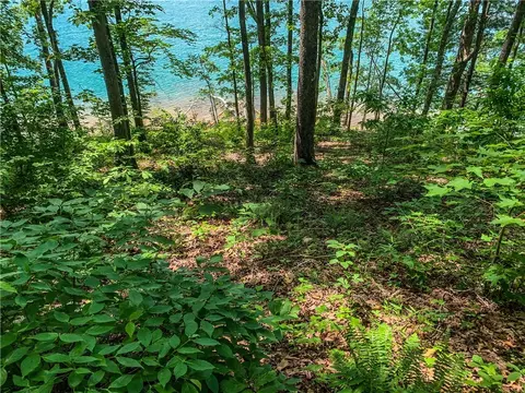 446 Peninsula Rdg, Sunset, SC 29685 photo 3
