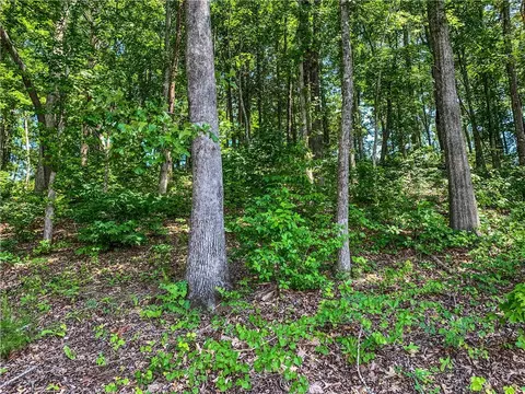 446 Peninsula Rdg, Sunset, SC 29685 photo 8