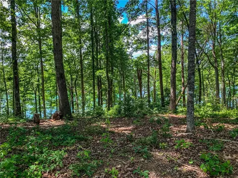 446 Peninsula Rdg, Sunset, SC 29685 photo 7