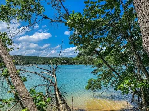 446 Peninsula Rdg, Sunset, SC 29685 photo 4