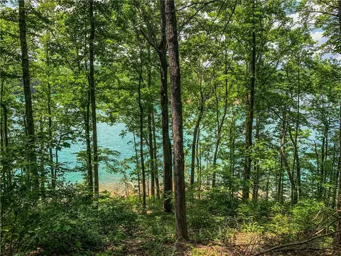 446 Peninsula Rdg, Sunset, SC 29685