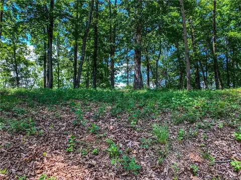 446 Peninsula Rdg, Sunset, SC 29685 photo 6