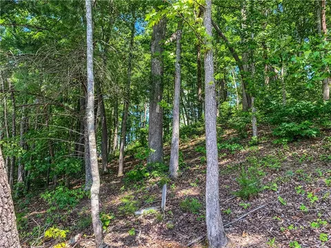 446 Peninsula Rdg, Sunset, SC 29685 photo 5