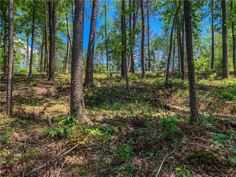 418 Peninsula Rdg, Sunset, SC 29685 photo 5