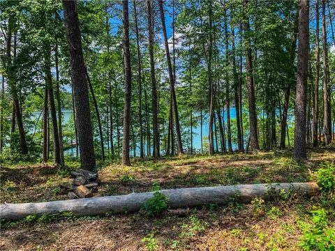 418 Peninsula Rdg, Sunset, SC 29685 photo 6