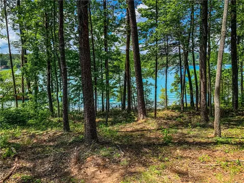 418 Peninsula Rdg, Sunset, SC 29685 photo 8