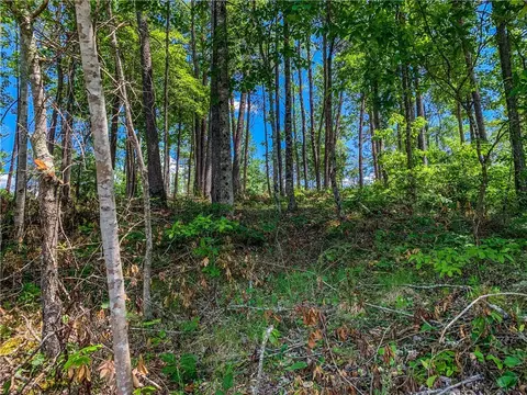 418 Peninsula Rdg, Sunset, SC 29685 photo 7