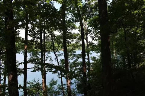 113 Misty Water Loop, Sunset, SC 29685 photo 23