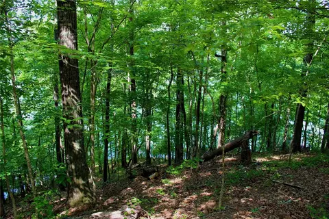 113 Misty Water Loop, Sunset, SC 29685 photo 14