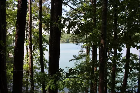 113 Misty Water Loop, Sunset, SC 29685 photo 21