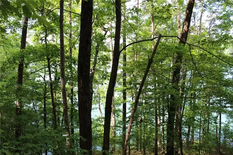 113 Misty Water Loop, Sunset, SC 29685 photo 18
