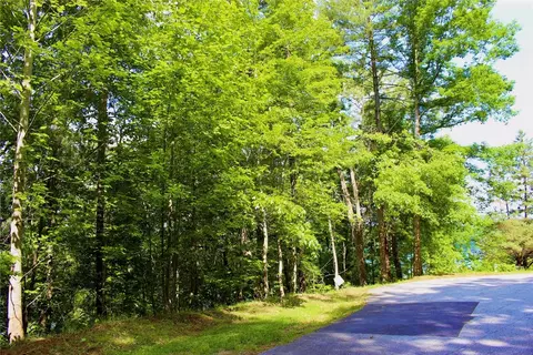 113 Misty Water Loop, Sunset, SC 29685 photo 10