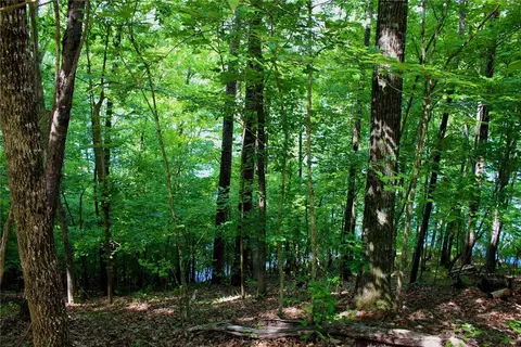 113 Misty Water Loop, Sunset, SC 29685 photo 15