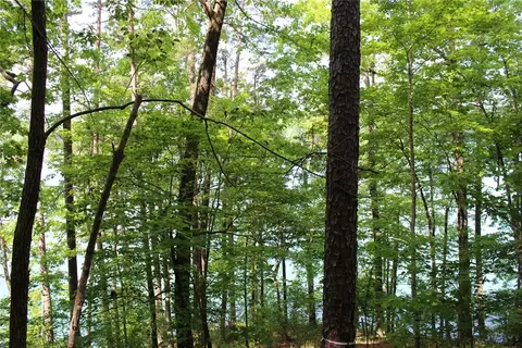 113 Misty Water Loop, Sunset, SC 29685 photo 19