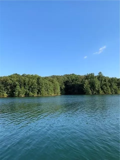 409 Peninsula Rdg, Sunset, SC 29685 photo 5