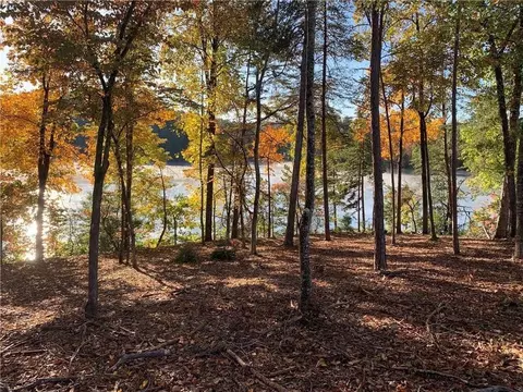 409 Peninsula Rdg, Sunset, SC 29685 photo 3