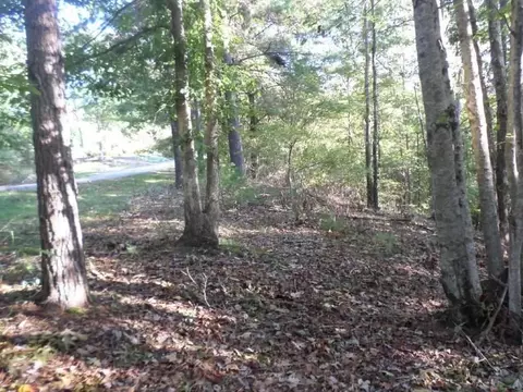 315 Ginseng Dr, Sunset, SC 29685 photo 7
