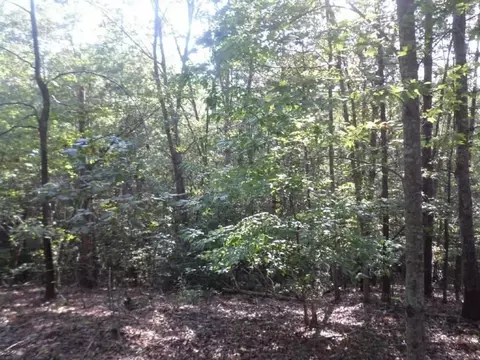 315 Ginseng Dr, Sunset, SC 29685 photo 5