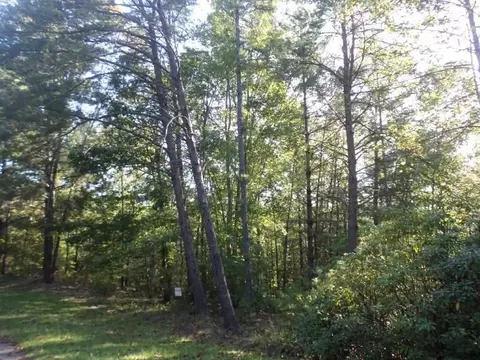 315 Ginseng Dr, Sunset, SC 29685 photo 2