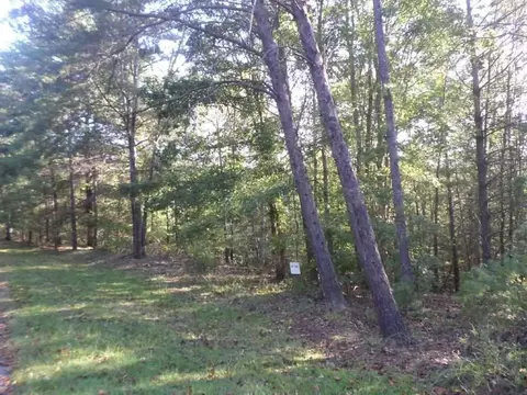 315 Ginseng Dr, Sunset, SC 29685 photo 3