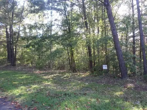 315 Ginseng Dr, Sunset, SC 29685 photo 6