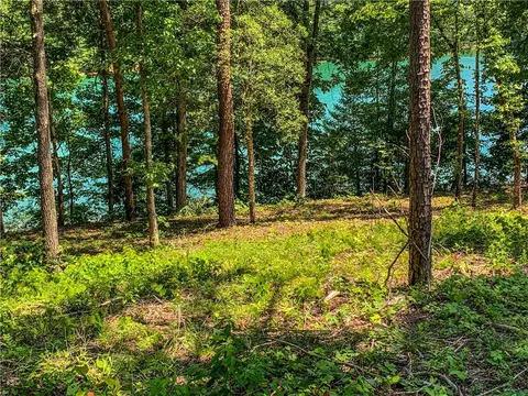 411 Peninsula Rdg, Sunset, SC 29685 photo 6