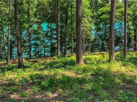 411 Peninsula Rdg, Sunset, SC 29685 photo 5
