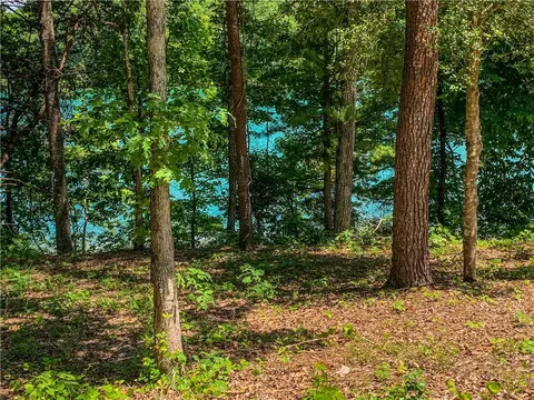 411 Peninsula Rdg, Sunset, SC 29685 photo 7