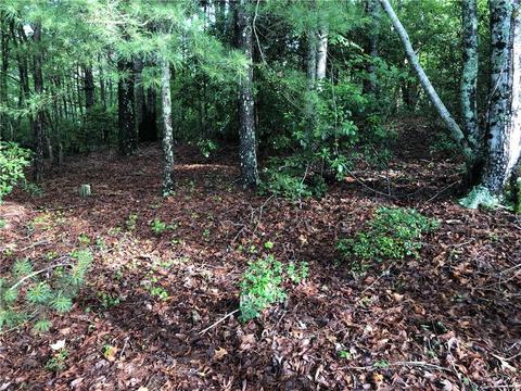 519 Ginseng Dr, Sunset, SC 29685 photo 1