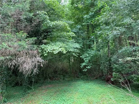 100 Clear Spring Ct, Clemson, SC 29631 photo 5