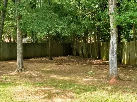 407 Spring Forest Dr, Central, SC 29630 photo 25