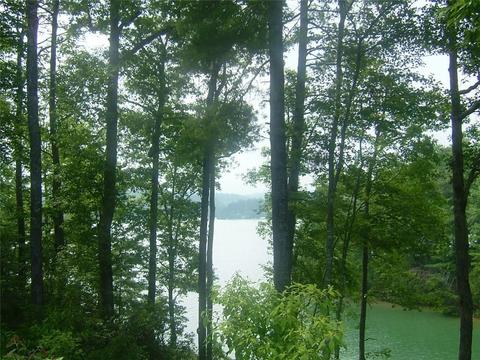 112 Mountain Mint Way, Sunset, SC 29685 photo 2
