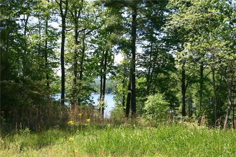 112 Mountain Mint Way, Sunset, SC 29685 photo 4