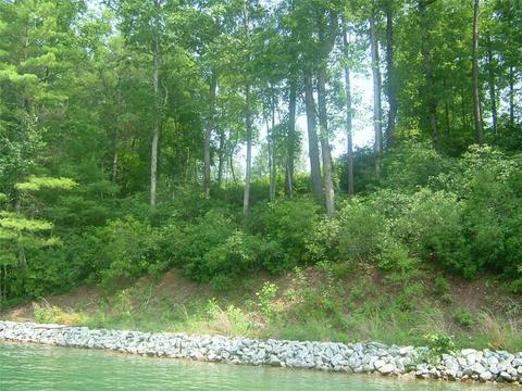 112 Mountain Mint Way, Sunset, SC 29685 photo 1