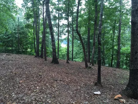 511 S Point Blvd, Sunset, SC 29685 photo 1