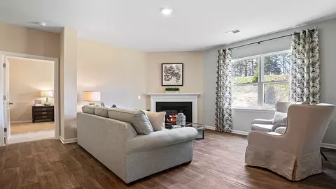207 Millhone Way, Pendleton, SC 29670 photo 5