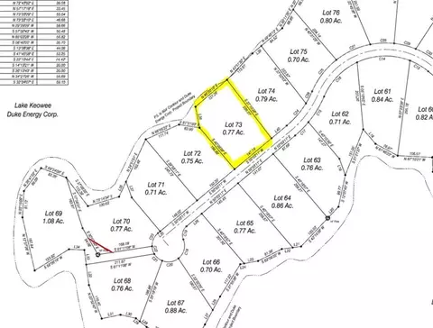 458 Peninsula Rdg, Sunset, SC 29685 photo 11