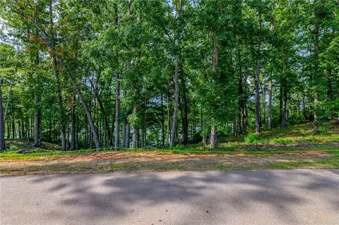 458 Peninsula Rdg, Sunset, SC 29685 photo 10