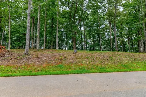 450 Peninsula Rdg, Sunset, SC 29685 photo 8
