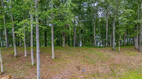 450 Peninsula Rdg, Sunset, SC 29685 photo 4
