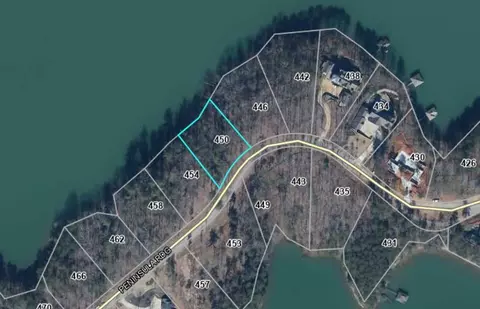 450 Peninsula Rdg, Sunset, SC 29685 photo 9