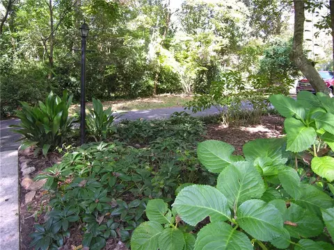100 E Lewis Rd, Clemson, SC 29631 photo 39