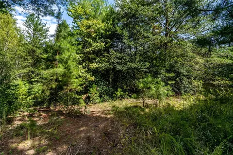 111 Hedge Nettle Ct, Sunset, SC 29685 photo 4