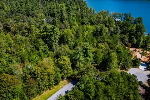 111 Hedge Nettle Ct, Sunset, SC 29685 photo 6