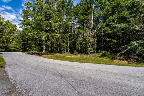 111 Hedge Nettle Ct, Sunset, SC 29685 photo 3