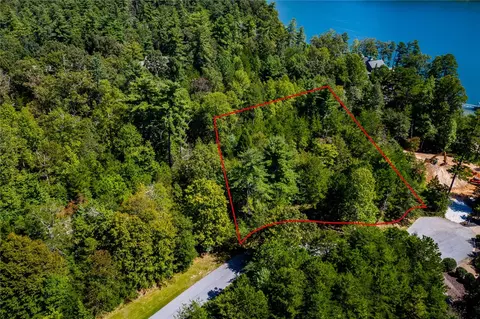 111 Hedge Nettle Ct, Sunset, SC 29685 photo 5